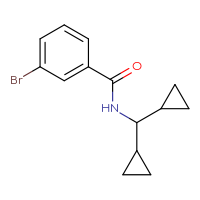 Chemical structure of 3-bromo-N-(dicyclopropylmethyl)benzamide - CSSB00000287000