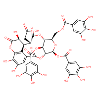 Chemical structure of 2-[(4R,5S,7R,8R,11S,12S,13S,21S)-13,17,18-trihydroxy-2,10,14-trioxo-5,21-bis(3,4,5-trihydroxybenzoyloxy)-7-[(3,4,5-trihydroxybenzoyloxy)methyl]-3,6,9,15-tetraoxatetracyclo[10.7.1.1⁴,⁸.0¹⁶,²⁰]henicosa-1(19),16(20),17-trien-11-yl]acetic acid - CSSB02125552593