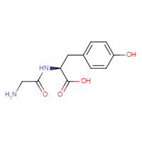 Chemical structure of (2S)-2-(2-aminoacetamido)-3-(4-hydroxyphenyl)propanoic acid - CSSB00007851599