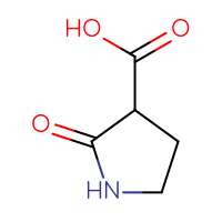 C5H7NO3