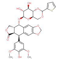 Chemical structure of (10R,11R,15R,16S)-16-{[(4aR,6R,7R,8R,8aS)-7,8-dihydroxy-2-(thiophen-2-yl)-hexahydro-2H-pyrano[3,2-d][1,3]dioxin-6-yl]oxy}-10-(4-hydroxy-3,5-dimethoxyphenyl)-4,6,13-trioxatetracyclo[7.7.0.0³,⁷.0¹¹,¹⁵]hexadeca-1,3(7),8-trien-12-one - CSSB21398891359