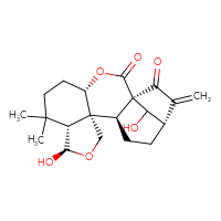 Chemical structure of (1R,4S,8R,9R,12S,13S,16S)-9,19-dihydroxy-7,7-dimethyl-17-methylidene-3,10-dioxapentacyclo[14.2.1.0¹,¹³.0⁴,¹².0⁸,¹²]nonadecane-2,18-dione - CSSB14929135504