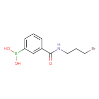 Chemical structure of {3-[(3-bromopropyl)carbamoyl]phenyl}boronic acid - CSSB00010171377