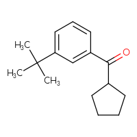 Chemical structure of (3-tert-butylphenyl)(cyclopentyl)methanone - CSSB00017830876