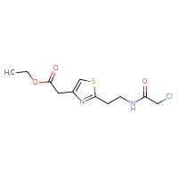 Chemical structure of ethyl 2-{2-[2-(2-chloroacetamido)ethyl]-1,3-thiazol-4-yl}acetate - CSSB21332068919