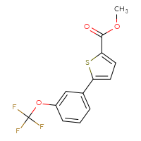 Chemical structure of methyl 5-[3-(trifluoromethoxy)phenyl]thiophene-2-carboxylate - CSSB00161187564