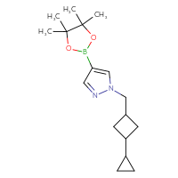 Chemical structure of 1-[(3-cyclopropylcyclobutyl)methyl]-4-(4,4,5,5-tetramethyl-1,3,2-dioxaborolan-2-yl)-1H-pyrazole - CSSB02142132045