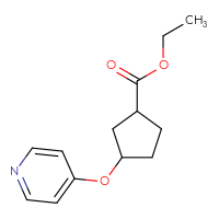 Chemical structure of ethyl 3-(pyridin-4-yloxy)cyclopentane-1-carboxylate - CSSB04972071055