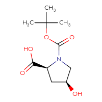 C10H17NO5