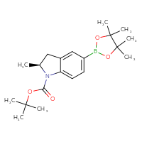 Chemical structure of tert-butyl (2S)-2-methyl-5-(4,4,5,5-tetramethyl-1,3,2-dioxaborolan-2-yl)-2,3-dihydro-1H-indole-1-carboxylate - CSSB02495757323