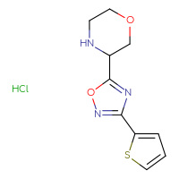 Chemical structure of 3-[3-(thiophen-2-yl)-1,2,4-oxadiazol-5-yl]morpholine hydrochloride - CSSB00000727183