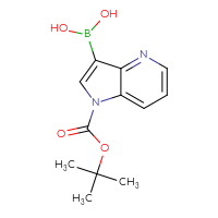 Chemical structure of {1-[(tert-butoxy)carbonyl]-1H-pyrrolo[3,2-b]pyridin-3-yl}boronic acid - CSSB02125606553