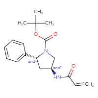 Chemical structure of rac-tert-butyl (2R,4S)-2-phenyl-4-(prop-2-enamido)pyrrolidine-1-carboxylate - CSSB21332073457