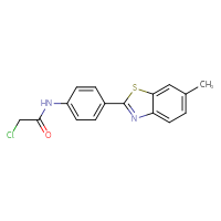Chemical structure of 2-chloro-N-[4-(6-methyl-1,3-benzothiazol-2-yl)phenyl]acetamide - CSSB00000736572