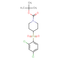 C16H21Cl2NO4S