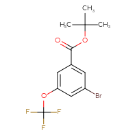 Chemical structure of tert-butyl 3-bromo-5-(trifluoromethoxy)benzoate - CSSB00160568161