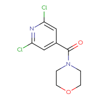Chemical structure of 4-(2,6-dichloropyridine-4-carbonyl)morpholine - CSSB00000171222