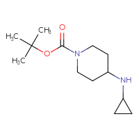 Chemical structure of tert-butyl 4-(cyclopropylamino)piperidine-1-carboxylate - CSSB00000744144