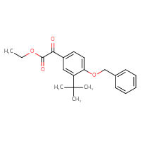 Chemical structure of ethyl 2-[4-(benzyloxy)-3-tert-butylphenyl]-2-oxoacetate - CSSB21103685498