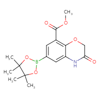 C16H20BNO6
