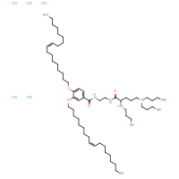 Chemical structure of (2S)-2-[(3-aminopropyl)amino]-5-[bis(3-aminopropyl)amino]-N-[2-({3,4-bis[(9Z)-octadec-9-en-1-yloxy]phenyl}formamido)ethyl]pentanamide pentahydrochloride - CSSB06623406970