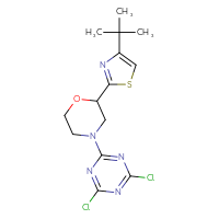 Chemical structure of 2-[2-(4-tert-butyl-1,3-thiazol-2-yl)morpholin-4-yl]-4,6-dichloro-1,3,5-triazine - CSSB21332073822