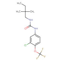 Chemical structure of 1-[3-chloro-4-(trifluoromethoxy)phenyl]-3-(2,2-dimethylbutyl)urea - CSSB02118740275