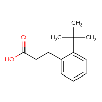 Chemical structure of 3-(2-tert-butylphenyl)propanoic acid - CSSB00010151462