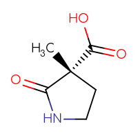 C6H9NO3