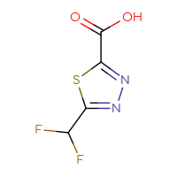 Chemical structure of 5-(difluoromethyl)-1,3,4-thiadiazole-2-carboxylic acid - CSSB00024169401