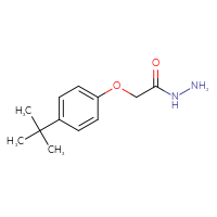 Chemical structure of 2-(4-tert-butylphenoxy)acetohydrazide - CSSB00000260917