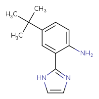 Chemical structure of 4-tert-butyl-2-(1H-imidazol-2-yl)aniline - CSSB00102686163