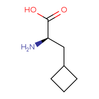 C7H13NO2
