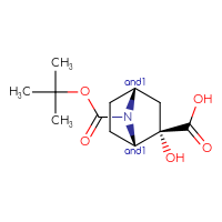 C12H19NO5