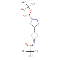 Chemical structure of tert-butyl 3-(3-{[(R)-2-methylpropane-2-sulfinyl]imino}cyclobutyl)pyrrolidine-1-carboxylate - CSSB21332860234