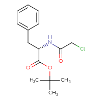 Chemical structure of tert-butyl (2S)-2-(2-chloroacetamido)-3-phenylpropanoate - CSSB00015194756