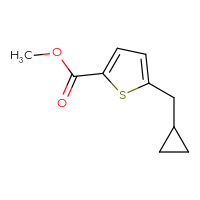 Chemical structure of methyl 5-(cyclopropylmethyl)thiophene-2-carboxylate - CSSB00049689261