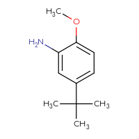 Chemical structure of 5-tert-butyl-2-methoxyaniline - CSSB00000211269