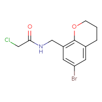 Chemical structure of N-[(6-bromo-3,4-dihydro-2H-1-benzopyran-8-yl)methyl]-2-chloroacetamide - CSSB21332080777