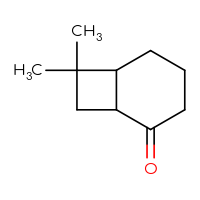 C10H16O