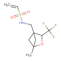 Chemical structure of N-{[1-methyl-3-(trifluoromethyl)-2-oxabicyclo[2.1.1]hexan-4-yl]methyl}ethene-1-sulfonamide - CSMB21332124258