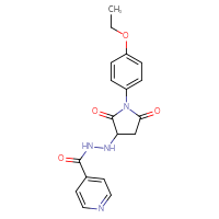Chemical structure of N'-[1-(4-ethoxyphenyl)-2,5-dioxopyrrolidin-3-yl]pyridine-4-carbohydrazide - CSSB00132462323