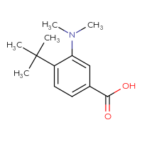 Chemical structure of 4-tert-butyl-3-(dimethylamino)benzoic acid - CSSB00010204172