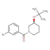 Chemical structure of (3S)-1-(3-bromobenzoyl)-3-(tert-butoxy)piperidine - CSSB01960248534