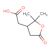 Chemical structure of 2-(2,2-dimethyl-5-oxooxolan-3-yl)acetic acid - CSSB00009874937