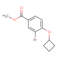 Chemical structure of methyl 3-bromo-4-cyclobutoxybenzoate - CSSB00050847610