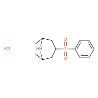 Chemical structure of 3-(benzenesulfonyl)-8-azabicyclo[3.2.1]octane hydrochloride - CSSB00015202275