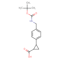 Chemical structure of 2-[4-({[(tert-butoxy)carbonyl]amino}methyl)phenyl]cyclopropane-1-carboxylic acid - CSSB00135146017