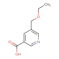 Chemical structure of 5-(ethoxymethyl)pyridine-3-carboxylic acid - CSSB00020938255