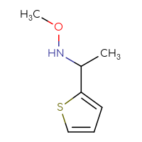 Chemical structure of methoxy[1-(thiophen-2-yl)ethyl]amine - CSSB00013093353